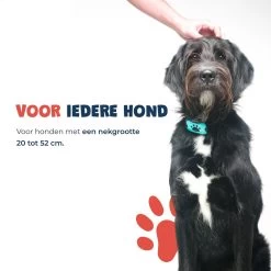 Anti Blafband - Blafband Voor Honden - Anti Blaf Apparaat - Blafband - Diervriendelijk & Zonder Schok -Pet Care Verkoop 1200x1200 742