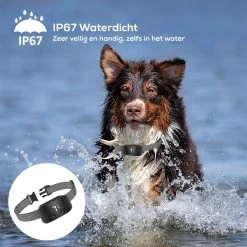 Salvano Anti Blafband - Blafband Voor Honden - Opvoedingshalsbanden - Voor Kleine En Grote Honden - Anti Blafband Zonder Schok- Oplaadbaar - Anti Blaf Apparaat - Blafband - Diervriendelijk -Pet Care Verkoop 1200x1200 754