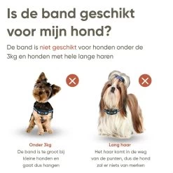 Premium Anti Blafband Apparaat Om Je Hond Snel En Effectief Te Laten Stoppen Met Blaffen - Diervriendelijke Opvoedingshalsband Zonder Schok - Trainingshalsband Voor Grote En Kleine Honden - Anti Blaf Apparaat - Correctie Halsband 11 Premium Anti Blafband Apparaat Om Je Hond Snel En Effectief Te Laten Stoppen Met Blaffen - Diervriendelijke Opvoedingshalsband Zonder Schok - Trainingshalsband Voor Grote En Kleine Honden - Anti Blaf Apparaat - Correctie Halsband -Pet Care Verkoop 1200x1200 775