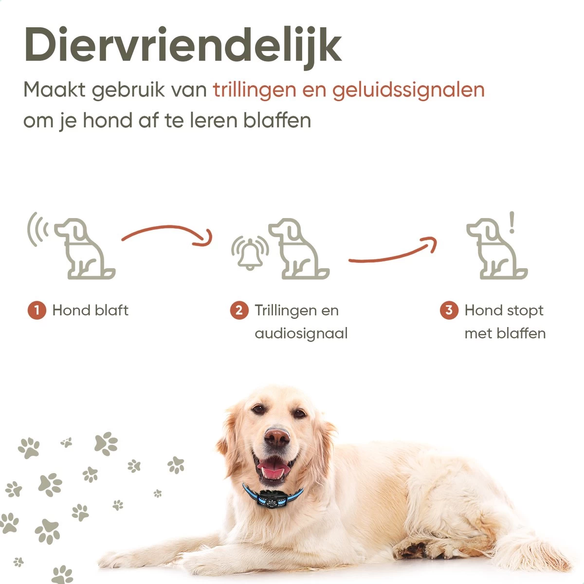 Premium Anti Blafband Apparaat Om Je Hond Snel En Effectief Te Laten Stoppen Met Blaffen - Diervriendelijke Opvoedingshalsband Zonder Schok - Trainingshalsband Voor Grote En Kleine Honden - Anti Blaf Apparaat - Correctie Halsband 4 Premium Anti Blafband Apparaat Om Je Hond Snel En Effectief Te Laten Stoppen Met Blaffen - Diervriendelijke Opvoedingshalsband Zonder Schok - Trainingshalsband Voor Grote En Kleine Honden - Anti Blaf Apparaat - Correctie Halsband - Afbeelding 4