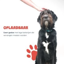 Anti Blafband - Blafband Voor Honden - Oplaadbaar - Anti Blaf Apparaat - Blafband - Diervriendelijk -Pet Care Verkoop 1200x1200 816