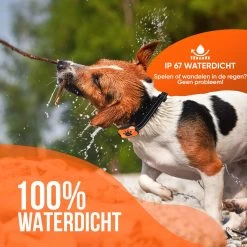 Strex Anti Blafband Voor Honden - 3-60KG - Oplaadbaar - Zonder Schok - Vibratie En Audio - Diervriendelijk - Anti Blaf Band - Anti Blaf Apparaat - Opvoedingshalsband Alle Honden -Pet Care Verkoop 1200x1200 843