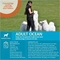 Wellness Core Grain Free Dog Ocean Zalm&Tonijn - Hondenvoer - 10 Kg -Pet Care Verkoop 1200x1200 849