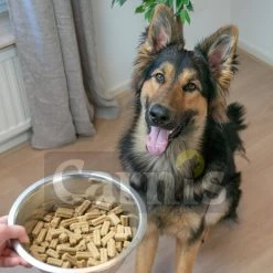 Carnis Rabbit Regular Geperst Hondenvoer 12,5 Kg - Hond -Pet Care Verkoop 1200x1200 850