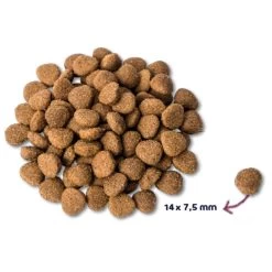 Renske Adult Kalkoen & Eend - Hondenvoer - 2 Kg -Pet Care Verkoop 1200x1200 853