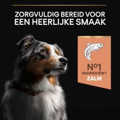 Pro Plan Medium Adult Sensitive Skin - Honden Droogvoer - Zalm - 14 Kg 26 Pro Plan Medium Adult Sensitive Skin - Honden Droogvoer - Zalm - 14 Kg -Pet Care Verkoop 1200x1200 860