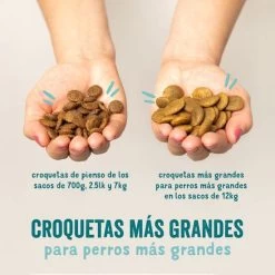 Edgard & Cooper Verse Noorse Zalm Adult - Hondenvoer - 7kg -Pet Care Verkoop 1200x1200 878