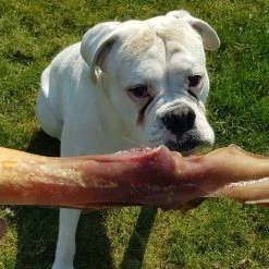 Topdiervoeding Runderkophuid Hondensnacks - Vers Gedroogd - 30cm - 1000 Gram -Pet Care Verkoop 1200x1200 901