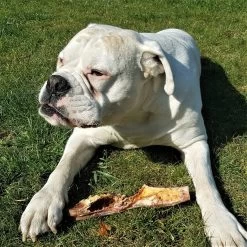 Topdiervoeding Runderkophuid Hondensnacks - Vers Gedroogd - 30cm - 1000 Gram -Pet Care Verkoop 1200x1200 902