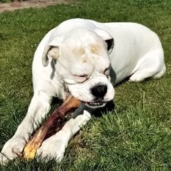 Topdiervoeding Runderkophuid Hondensnacks - Vers Gedroogd - 30cm - 1000 Gram -Pet Care Verkoop 1200x1200 903