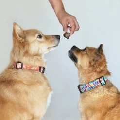 Topdiervoeding Runderlong Trainers Hondensnacks - Gedroogd En Vetarm - 1 KG -Pet Care Verkoop 1200x1200 911