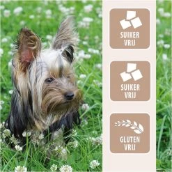 Antos Runderoor Smoked Rund Hondensnack - 280 G - 10 Stuks 16 Antos Runderoor Smoked Rund Hondensnack - 280 G - 10 Stuks -Pet Care Verkoop 1200x1200 920