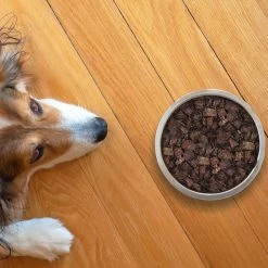 Topdiervoeding Runderlong Hondensnacks - Vers Gedroogd - Knapperig - 1 KG -Pet Care Verkoop 1200x1200 927