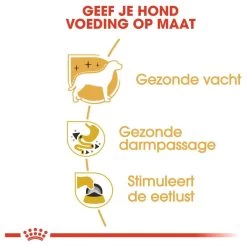 Royal Canin Chihuahua Pouch (12X85 GR) -Pet Care Verkoop 1200x1200 943