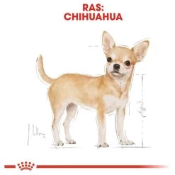 Royal Canin Chihuahua Pouch (12X85 GR) -Pet Care Verkoop 1200x1200 944