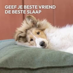Snoozle Orthopedische Hondenmand - Zacht En Luxe Hondenkussen - Hondenbed - Wasbaar - Hondenmanden - 100 X 70 Cm - Stormy Grey -Pet Care Verkoop 1200x1200 974