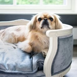 Lord Lou - George Blauw Velvet S - Luxe Hondenmand - Luxe Kattenmand - 49x40x31 16 Lord Lou - George Blauw Velvet S - Luxe Hondenmand - Luxe Kattenmand - 49x40x31 -Pet Care Verkoop 1200x1200 978