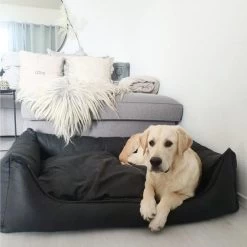 Maxxnobel Orthopedisch Hondenkussen - Lederlook/Teddy - M - 100 X 80 Cm - Zwart 11 Maxxnobel Orthopedisch Hondenkussen - Lederlook/Teddy - M - 100 X 80 Cm - Zwart -Pet Care Verkoop 1200x1200 985