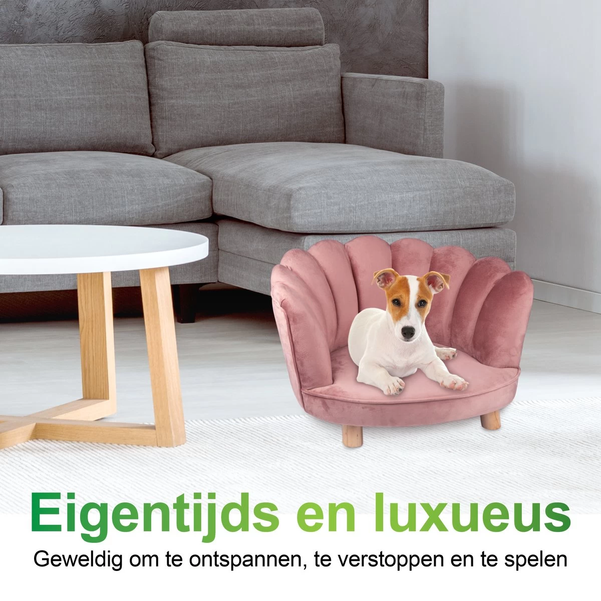 Maxxpro Katten- En Hondenstoel - Roze - Verhoogd Met Houten Poten - Fluweel Materiaal - 61.5 X 52 X 33 CM - Huisdieren Tot 80 KG 4 Maxxpro Katten- En Hondenstoel - Roze - Verhoogd Met Houten Poten - Fluweel Materiaal - 61.5 X 52 X 33 CM - Huisdieren Tot 80 KG - Afbeelding 4