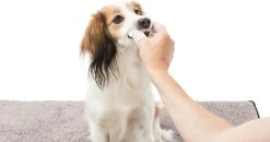 Trixie Verzorgingsvinger - 50 Stuks 6 Trixie Verzorgingsvinger - 50 Stuks -Pet Care Verkoop 1200x630