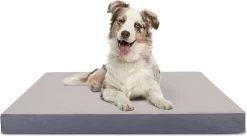 Nobleza Orthopedische Hondenkussen Wasbaar - Hondenbed - Maat L: 90 X 70 X 8 Cm - Grijs 10 Nobleza Orthopedische Hondenkussen Wasbaar - Hondenbed - Maat L: 90 X 70 X 8 Cm - Grijs -Pet Care Verkoop 1200x663 1