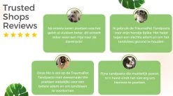 TraumaPet Tandpasta Met Colloïdaal Zilver Voor Dieren | Met Vleessmaak | Bij Stinkende Adem | Tandplak | Geïrriteerd Tandvlees | Tandsteen -Pet Care Verkoop 1200x666