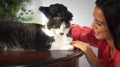 Vacht Verzorgingsborstel Voor Huisdieren - Blauw - LimitedDeals - Voor Honden Katten Konijnen Paarden - Tevens Massage Handschoen Voor Dieren! - Goed Voor De Verzorging Van De Vacht -Pet Care Verkoop 1200x674