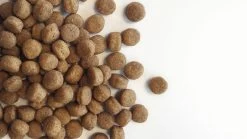 Carocroc Puppy Large Breed 3 KG -Pet Care Verkoop 1200x675 1