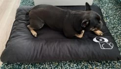 Hondenkussen XXXL -Donkergrijs - 85 X 120 X 14 15 Hondenkussen XXXL -Donkergrijs - 85 X 120 X 14 -Pet Care Verkoop 1200x685