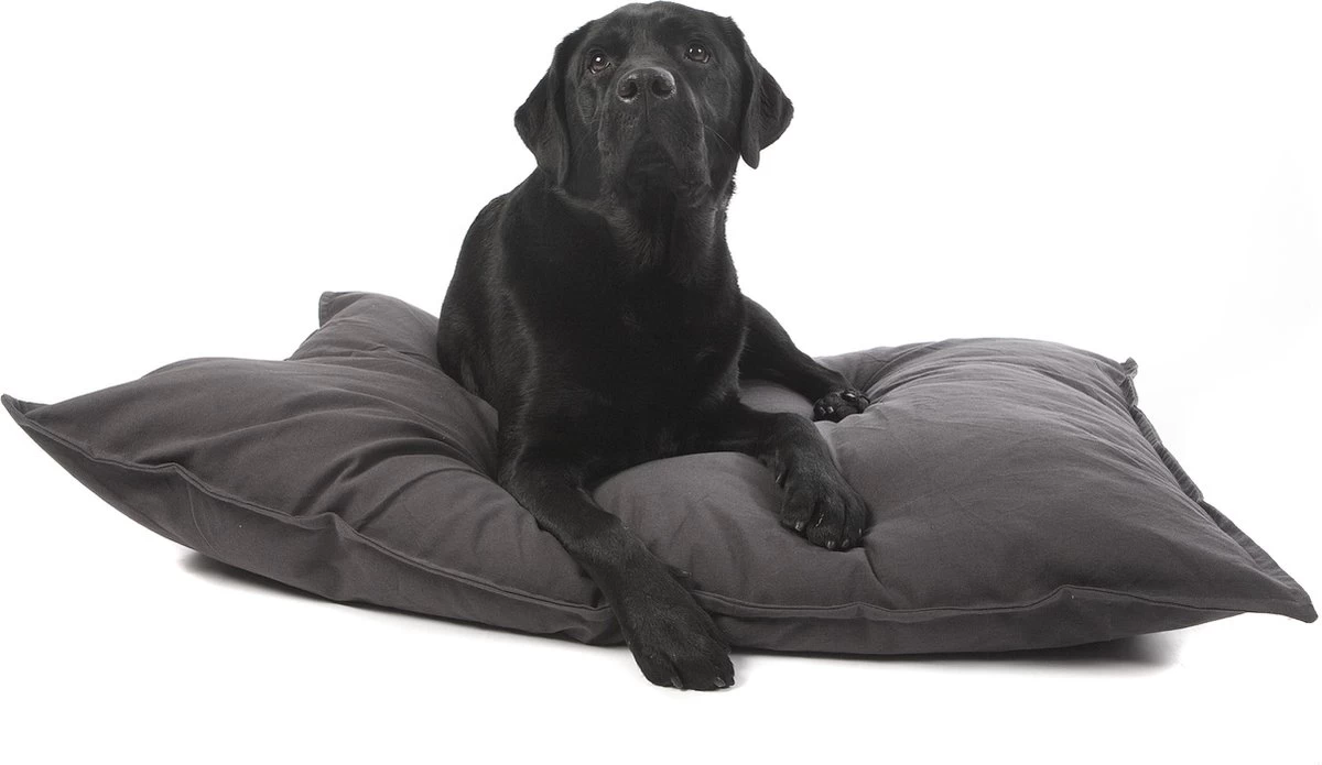 Lex & Max Tivoli - Hondenkussen - Rechthoek - 100x70cm - Grijs 4 Lex & Max Tivoli - Hondenkussen - Rechthoek - 100x70cm - Grijs - Afbeelding 4