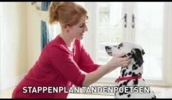 Beaphar Tandpasta - 100 Gr -Pet Care Verkoop 1200x697 3