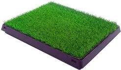 Merkloos Maoo Premium Hondentoilet - Geurbestendig & Hondvriendelijk Kunstgras - Uitneembare Opvangbak - Indoor En Outdoor - 63 X 50 Cm -Pet Care Verkoop 1200x698