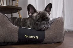 Hondenmand Zacht En Stevig, Anti-Slip En Wasbaar - Scruffs Chester Box Bed - In Grijs En Bruin In Maat S Tot XL - Kleur: Grijs, Maat: Large -Pet Care Verkoop 1200x799 16