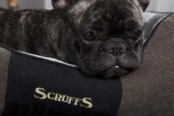 Hondenmand Zacht En Stevig, Anti-Slip En Wasbaar - Scruffs Chester Box Bed - In Grijs En Bruin In Maat S Tot XL - Kleur: Grijs, Maat: Large -Pet Care Verkoop 1200x799 20