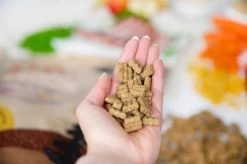 Kivo Petfood PROEFZAKJE Hondenbrokken Lam & Rijst 300 Gram - Koudgeperst - Glutenvrij -Pet Care Verkoop 1200x799 5