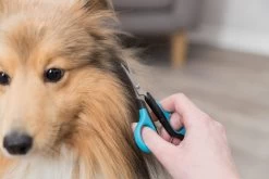 Trixie Gezicht- En Potenschaar Kunststof / Rvs 8 Cm -Pet Care Verkoop 1200x800 10