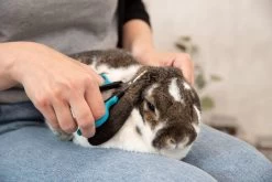 Trixie Gezicht- En Potenschaar Kunststof / Rvs 8 Cm -Pet Care Verkoop 1200x800 12