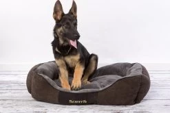 Hondenmand Zacht En Stevig, Anti-Slip En Wasbaar - Scruffs Chester Box Bed - In Grijs En Bruin In Maat S Tot XL - Kleur: Grijs, Maat: Extra Large -Pet Care Verkoop 1200x800 57