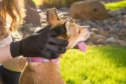 Merkloos Vachtverzorgingshandschoen -Pet Care Verkoop 1200x800 6