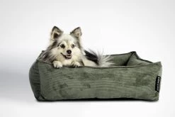 Lex & Max Chicago - Hondenmand - 80x65cm - Groen -Pet Care Verkoop 1200x800 62
