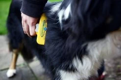 Furminator® Hond Langhaar - Vermindert Haaruitval Tot 90% - Hondenborstel - L 10 Furminator® Hond Langhaar - Vermindert Haaruitval Tot 90% - Hondenborstel - L -Pet Care Verkoop 1200x800 7