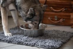 Royal Dry Absorberende Anti-knoeimat Voor Honden – Trekt Vuil Als Een Spons – Laat Geen Vocht Door – 61x45 Cm – Microfiber Chenille – Geschikt Voor Honden En Overige Huisdieren -Pet Care Verkoop 1200x800 81