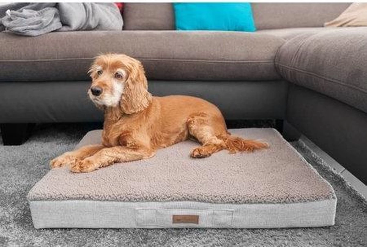 Petlando Orthopedisch Ligbed Merano Stone L - Hond 2 Petlando Orthopedisch Ligbed Merano Stone L - Hond - Afbeelding 2