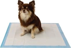Easypets Puppy Training Pads - Zindelijkheidstraining - Hondentoilet - 58 X 58 Cm - 105 Stuks -Pet Care Verkoop 1200x814
