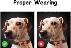 Merkloos Anti Blafband Voor Honden Blafband Anti Blaf Apparaat Blafband Zonder Schok - Diervriendelijk 12 Merkloos Anti Blafband Voor Honden Blafband Anti Blaf Apparaat Blafband Zonder Schok - Diervriendelijk -Pet Care Verkoop 1200x822