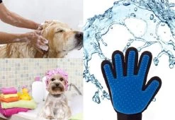 Vacht Verzorgingsborstel Voor Huisdieren - Blauw - LimitedDeals - Voor Honden Katten Konijnen Paarden - Tevens Massage Handschoen Voor Dieren! - Goed Voor De Verzorging Van De Vacht -Pet Care Verkoop 1200x825