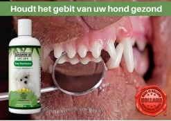 Easy Mondwater Voor Honden - 237 Ml - Tegen Stinkende Adem - Tandplak - Tandsteen - Tandvleesproblemen -Pet Care Verkoop 1200x852 6