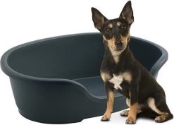 Flamingo - Hondenmand Domus - S - Zwart - 50/58 X 38 X 20 Cm -Pet Care Verkoop 1200x861 1