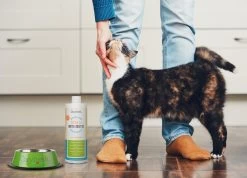 OxyFresh Pet Mondwater Hond En Kat. Helpt Tegen Tandsteen, Plak En Vieze Ademgeurtjes -Pet Care Verkoop 1200x864 4