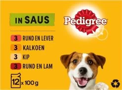 Pedigree Adult Honden Natvoer - Vlees & Gevogelte In Saus - 48 X 100g -Pet Care Verkoop 1200x884 1